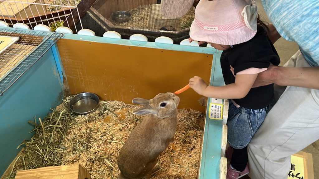 ワールド牧場でウサギに餌やり