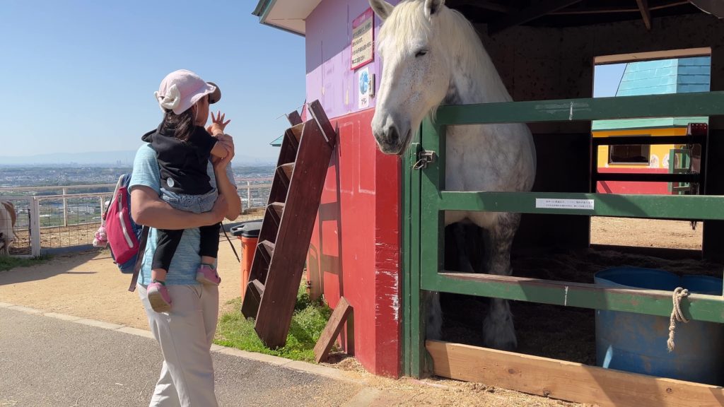 ワールド牧場で馬を見る