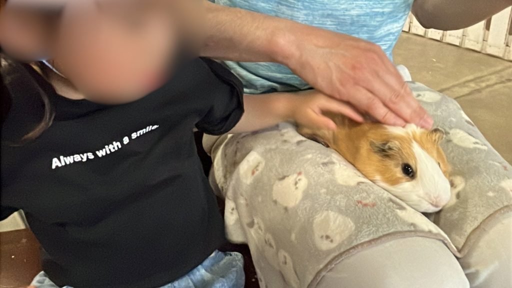 ワールド牧場でモルモットと触れあい